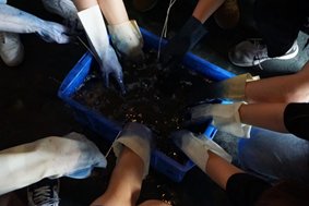 开云手机官方版登录入口新手怎么玩及专业